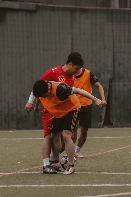 与适应性