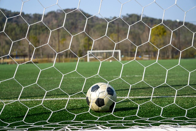 手之所以能 手之所以能