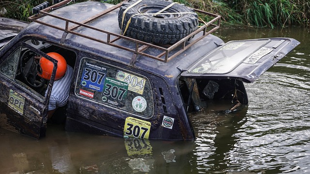 展現了穩定 展現了穩定