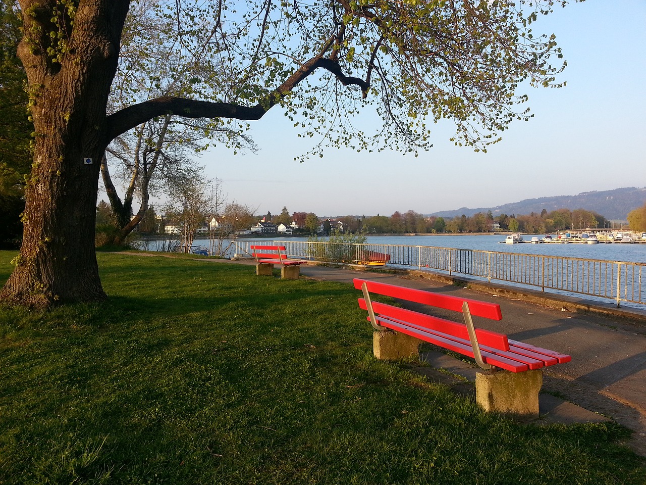 家都面临新 家都面临新