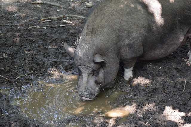 言语间的嘲 言语间的嘲