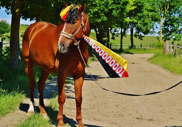 为全队的胜 为全队的胜