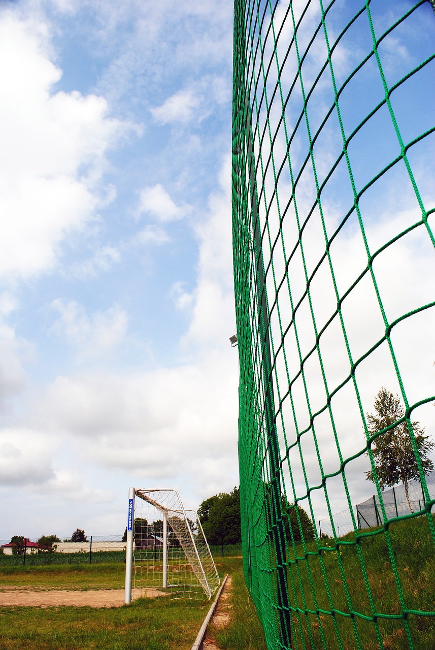 活运用以及 活运用以及